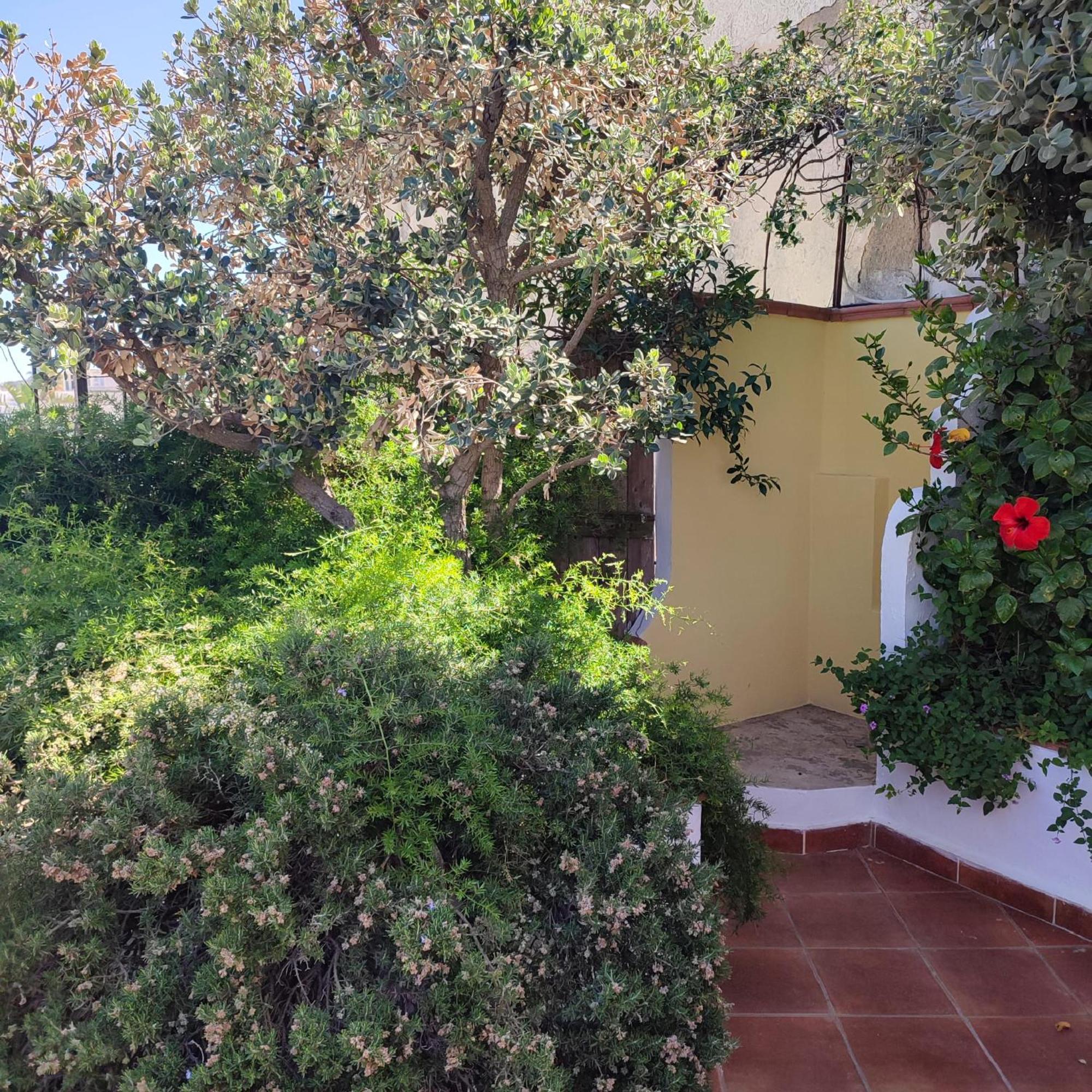 Hotel Villa Verde Forio di Ischia Buitenkant foto