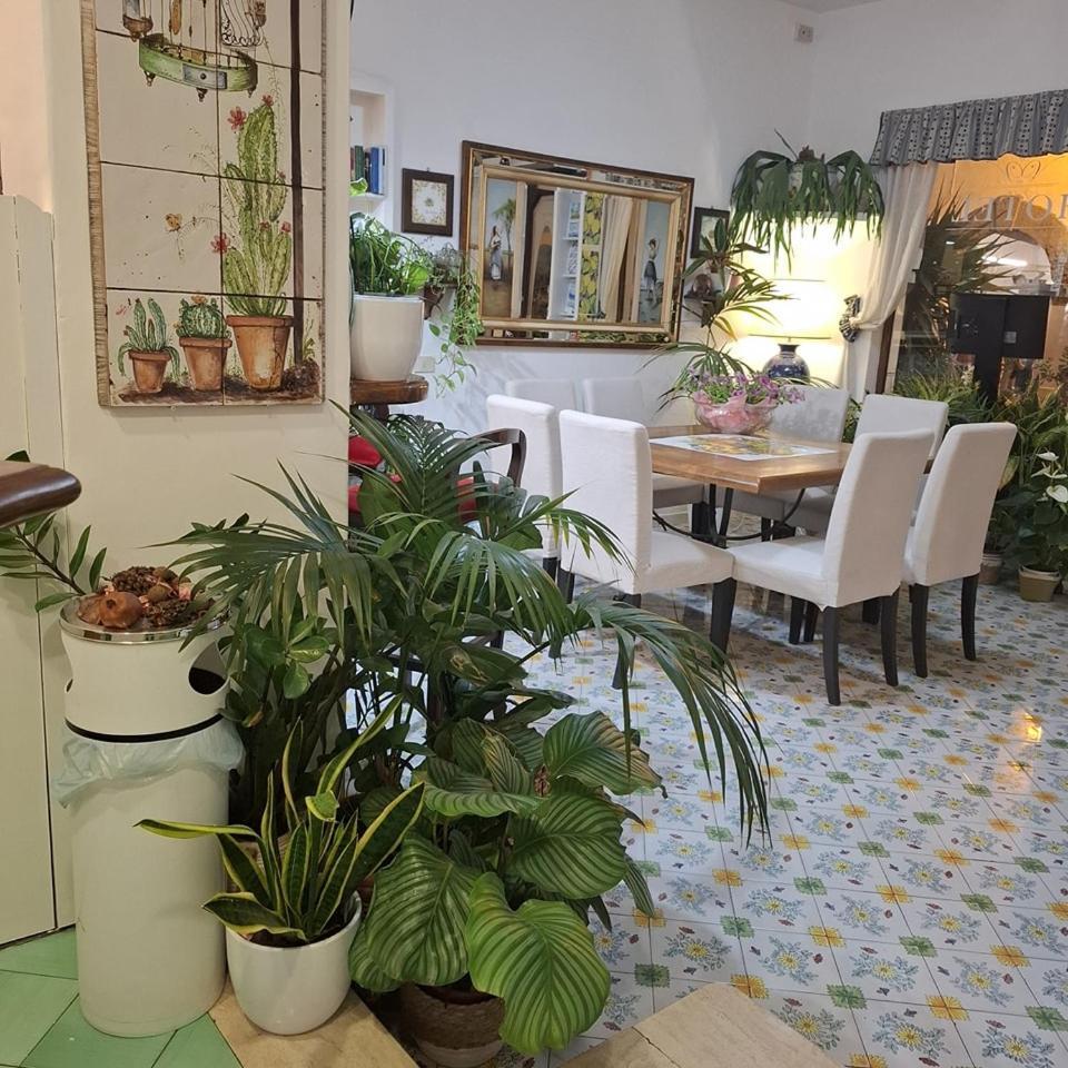 Hotel Villa Verde Forio di Ischia Buitenkant foto